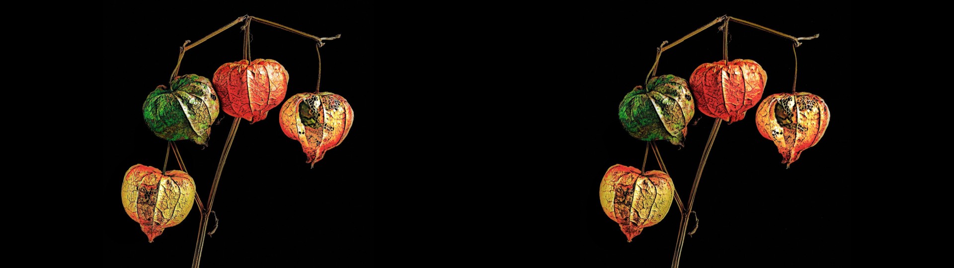 Old Chinese Lanterns